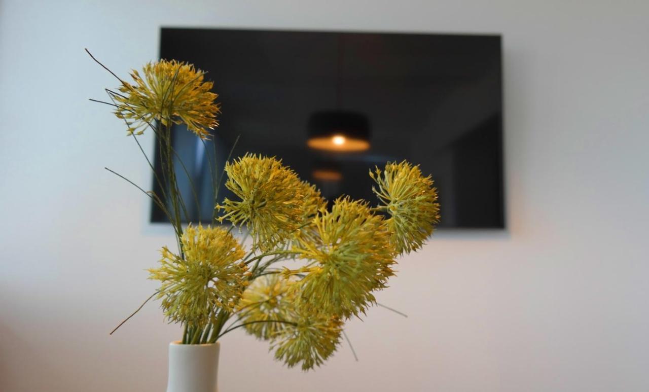 Apartment Flora Póla Kültér fotó
